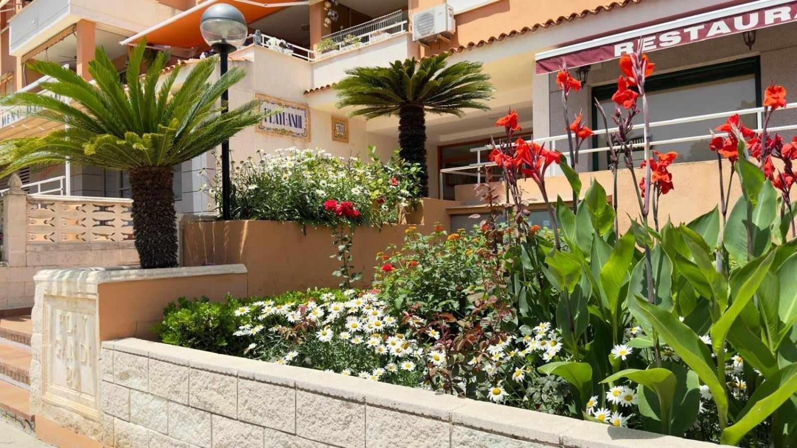Apartamento Paradise Solo Familias Гандія Екстер'єр фото